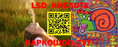 шишки Лесосибирск