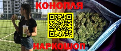 шишки Лесосибирск
