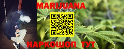 шишки Лесосибирск